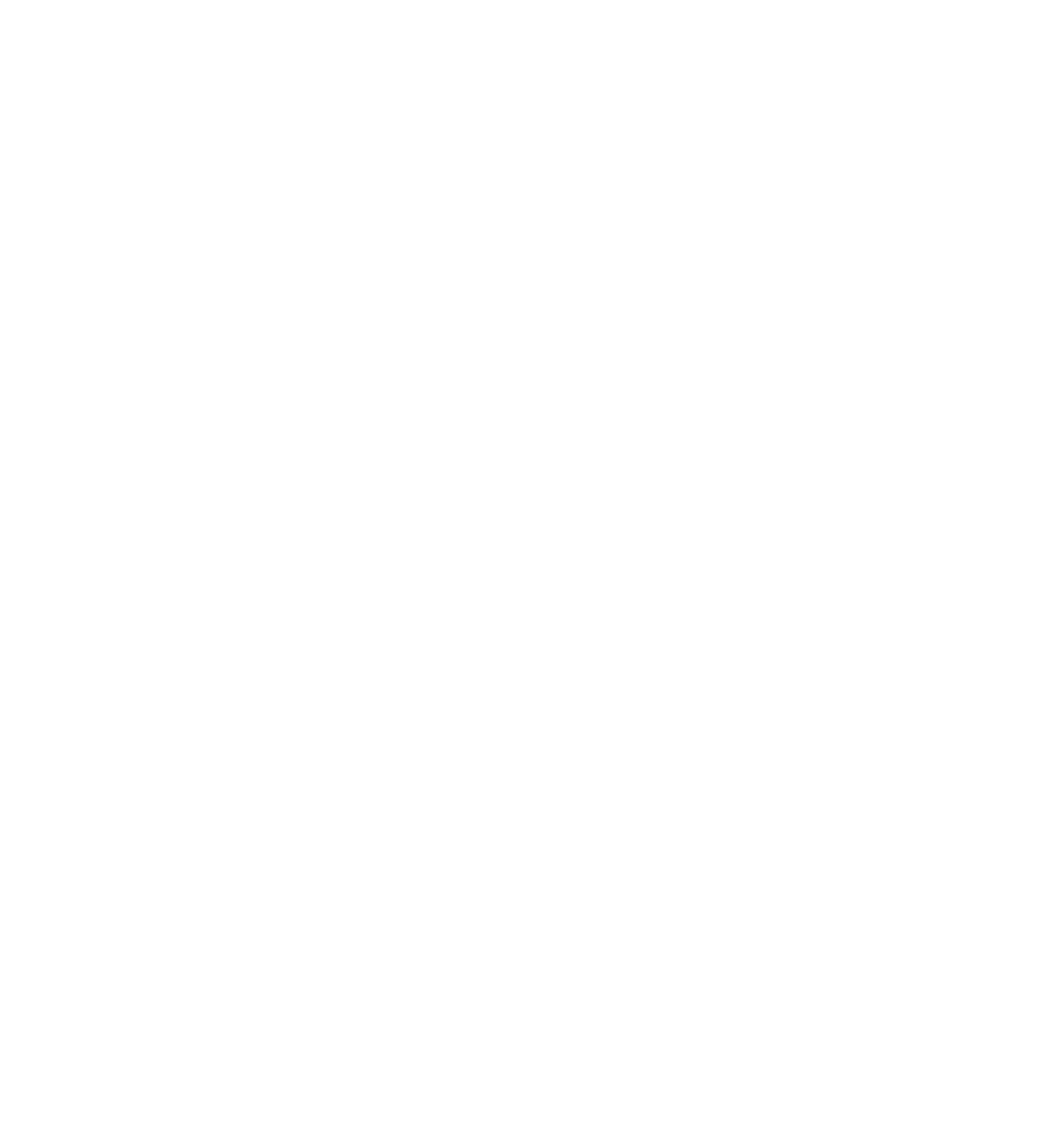 DN-Logo-weiss